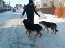 2013-01-13 14.59.21