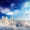 imagine-3d-peisaj-de-iarna