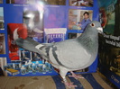 HUN 2009F