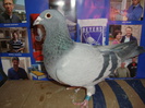 PL 2004 F