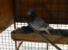 DSCN2446