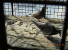 DSCN2445