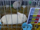 Picture 2327