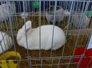 Picture 2328