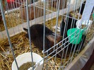 DSC01447