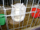 DSC03583