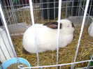 DSC03603
