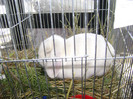 DSC03635