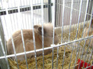 DSC03644