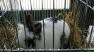 DSC03646