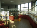 DSC03666