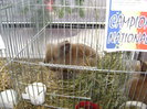 DSC03687