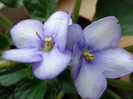 DSC01015