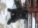 DSCF5578