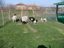 SAM_7431