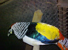 20102012124