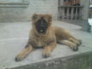 CHELSEA