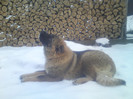 CHELSEA