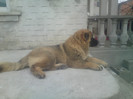 CHELSEA