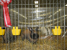 wels_2013_ 055