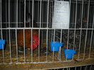 Picture 006