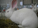 Picture 222