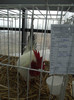 DSCF0574