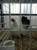 DSCF0576