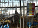 DSCF0661