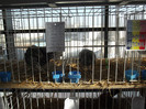 DSCF0664