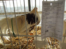 DSCF0665