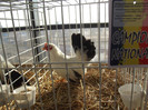 DSCF0673