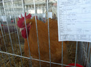 DSCF0690