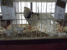 DSCF0753