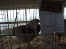 DSCF0756