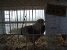 DSCF0757