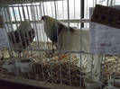DSCF0758