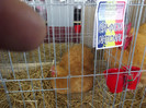 DSCF0764