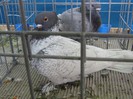 IMG_0027