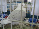 IMG_0032