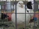 IMG_0055