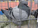 IMG_0057