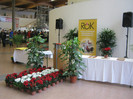 wels_2013_ 156