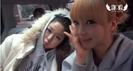 aoa sweet