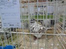 SAM_3930