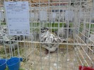 SAM_3931