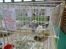 SAM_3957