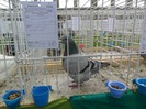 SAM_3979