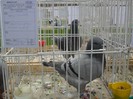 SAM_3980