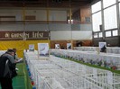 SAM_3981